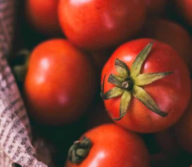 IoT – Internet of Things or Internet of Tomatoes? | EACPDS Blog